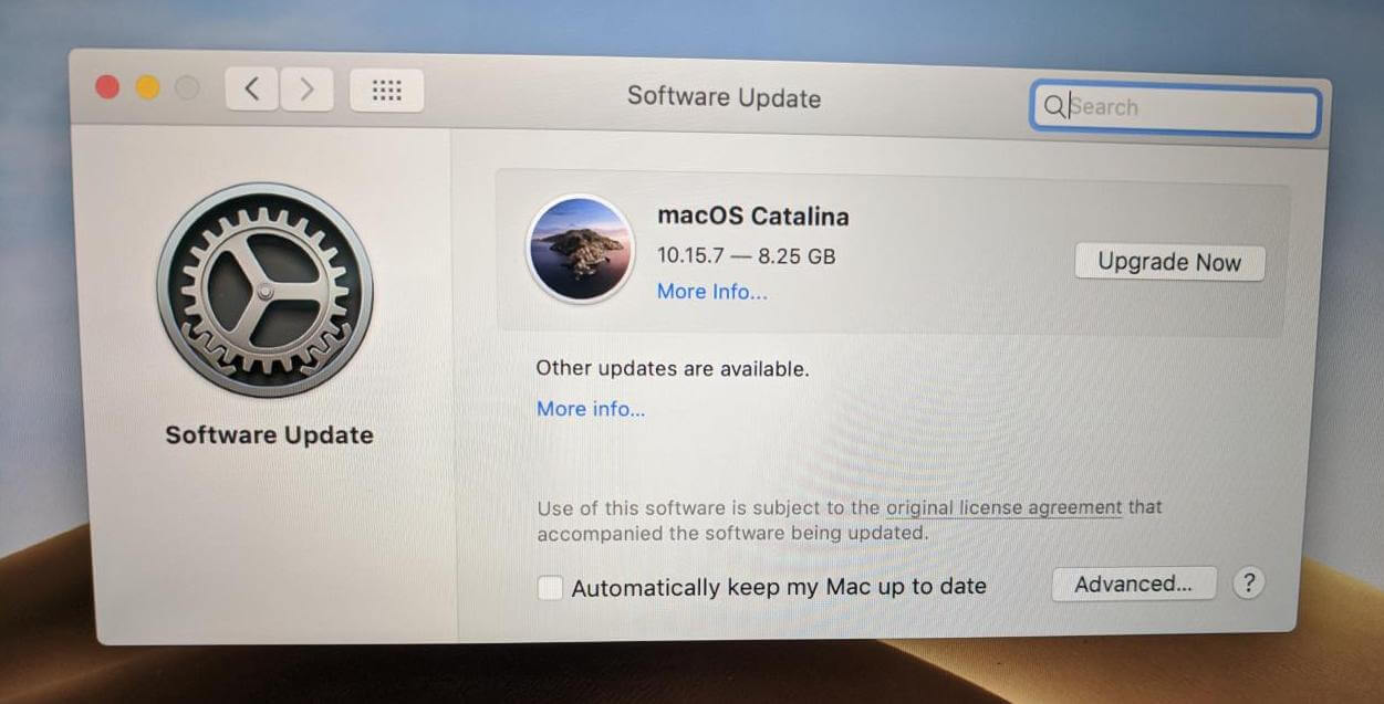 Download the Catalina update in System Preferences -> Software Update