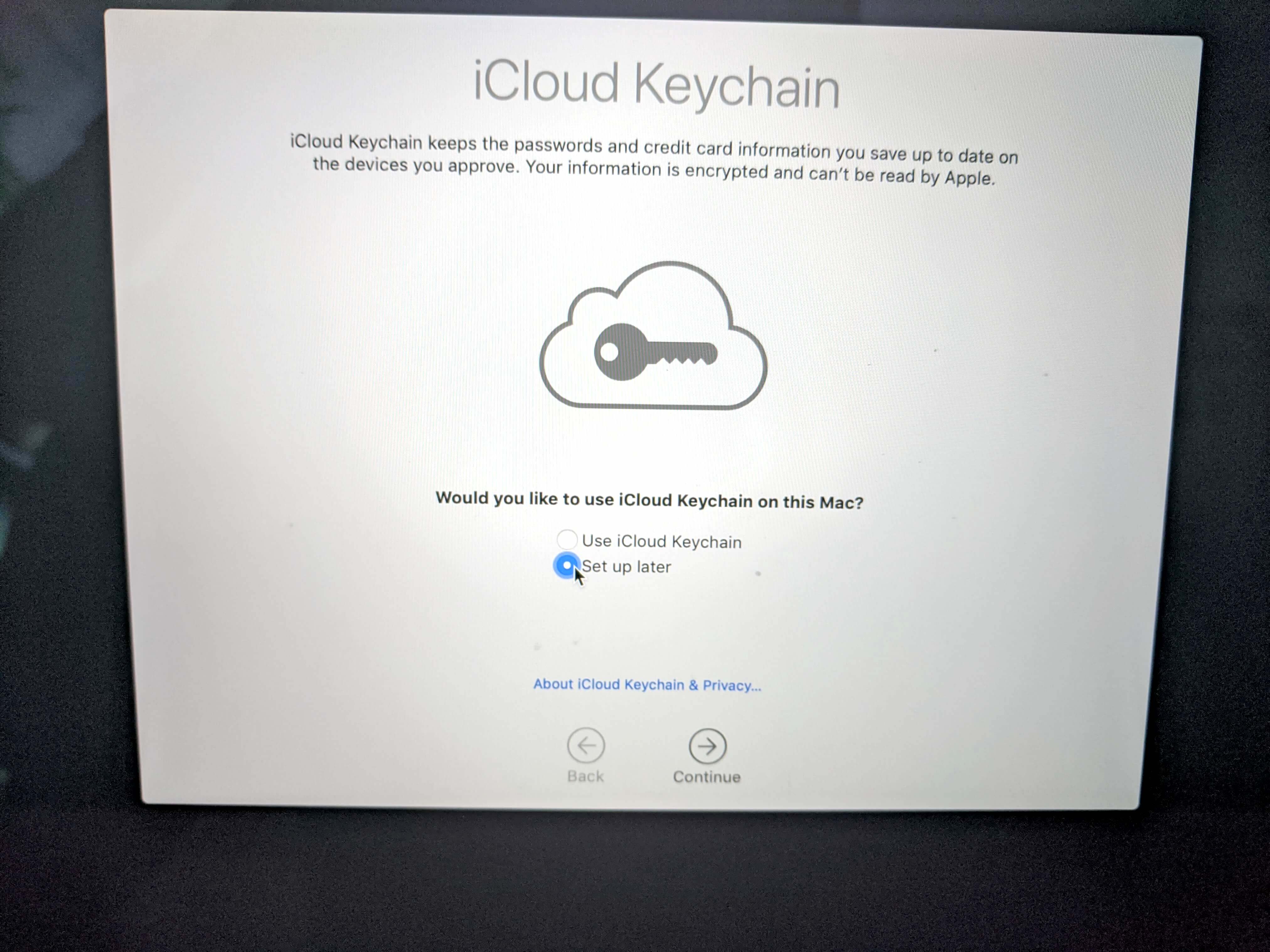 Select Set Up Later to not enable iCloud Keychain
